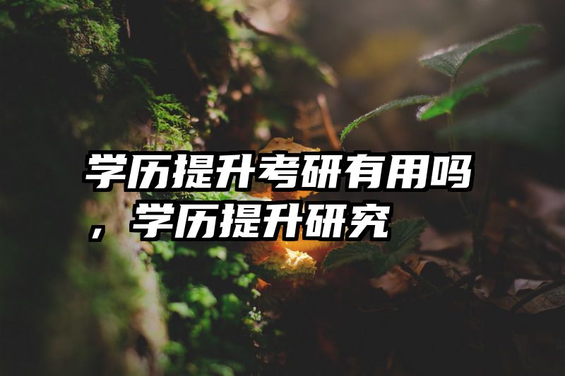 学历提升考研有用吗，学历提升研究