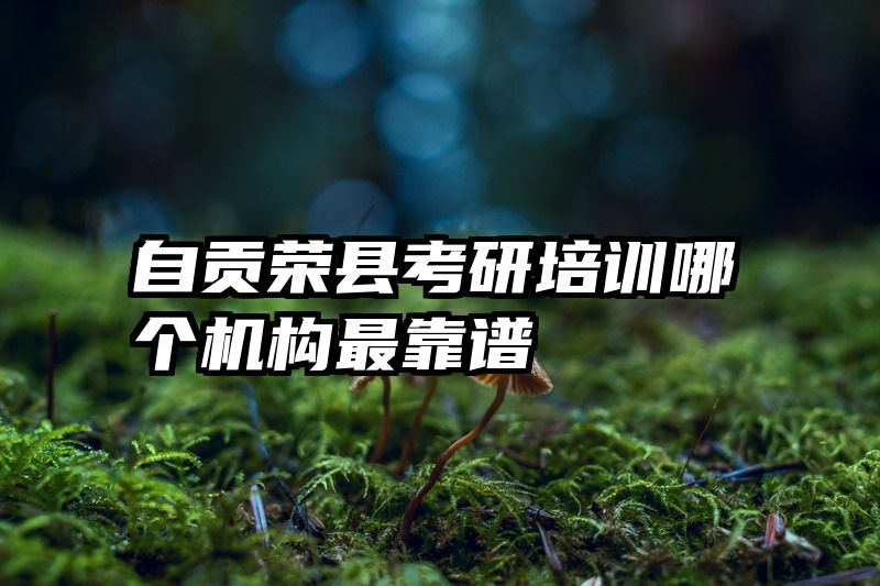 自贡荣县考研培训哪个机构最靠谱