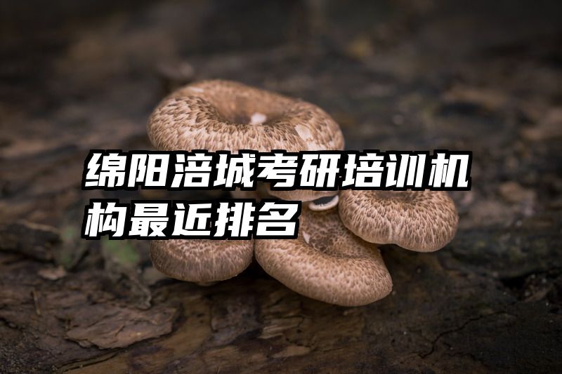 绵阳涪城考研培训机构最近排名
