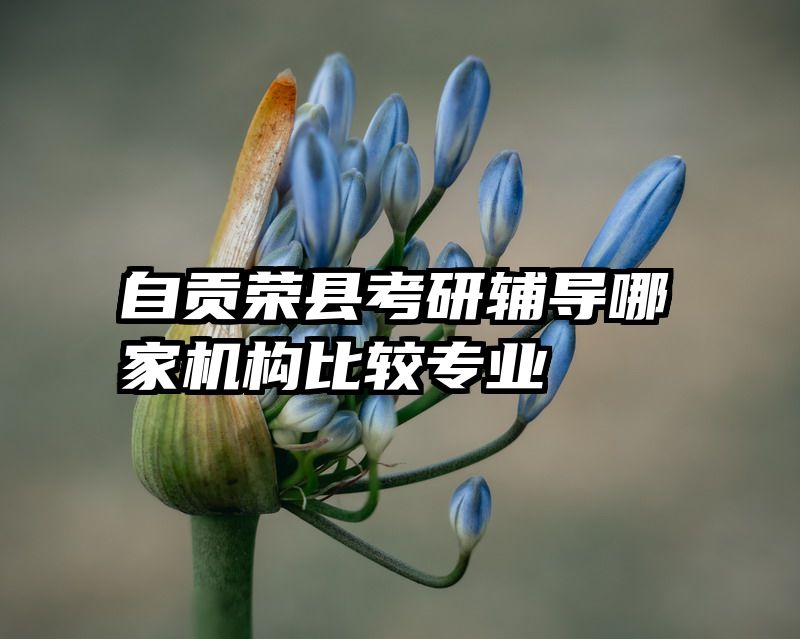 自贡荣县考研辅导哪家机构比较专业