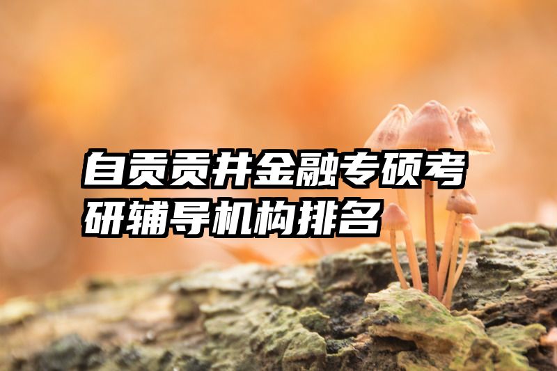 自贡贡井金融专硕考研辅导机构排名