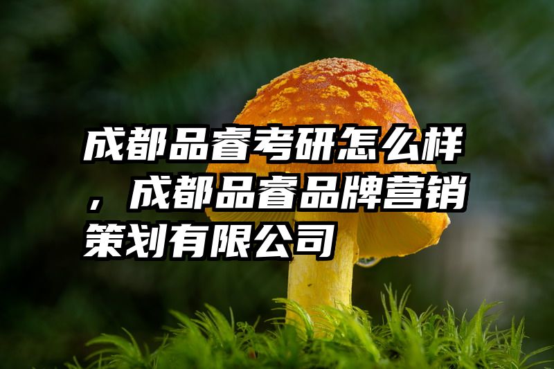 成都品睿考研怎么样，成都品睿品牌营销策划有限公司