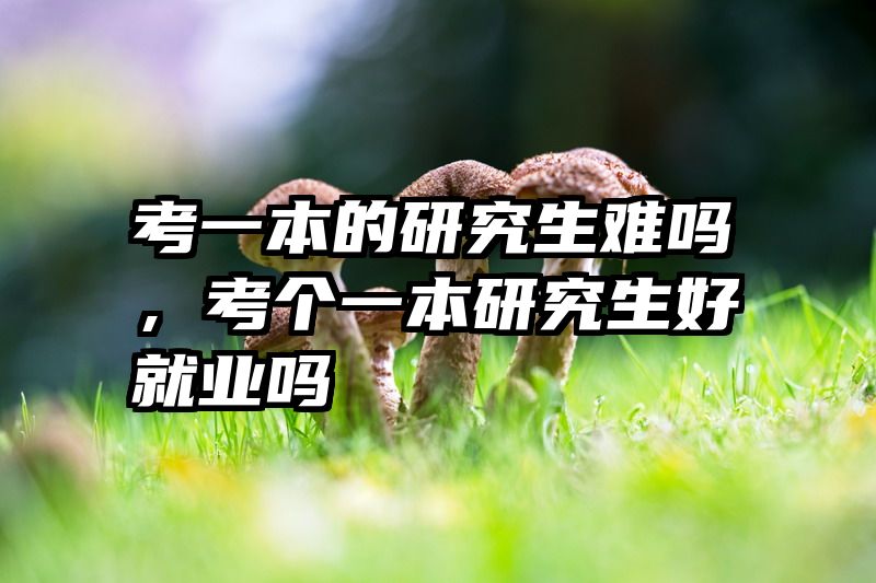 考一本的研究生难吗，考个一本研究生好就业吗