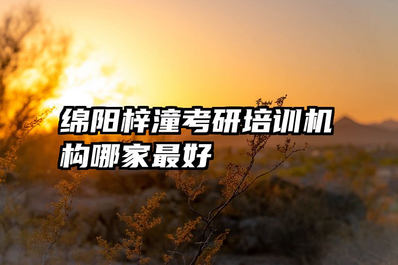 绵阳梓潼考研培训机构哪家最好
