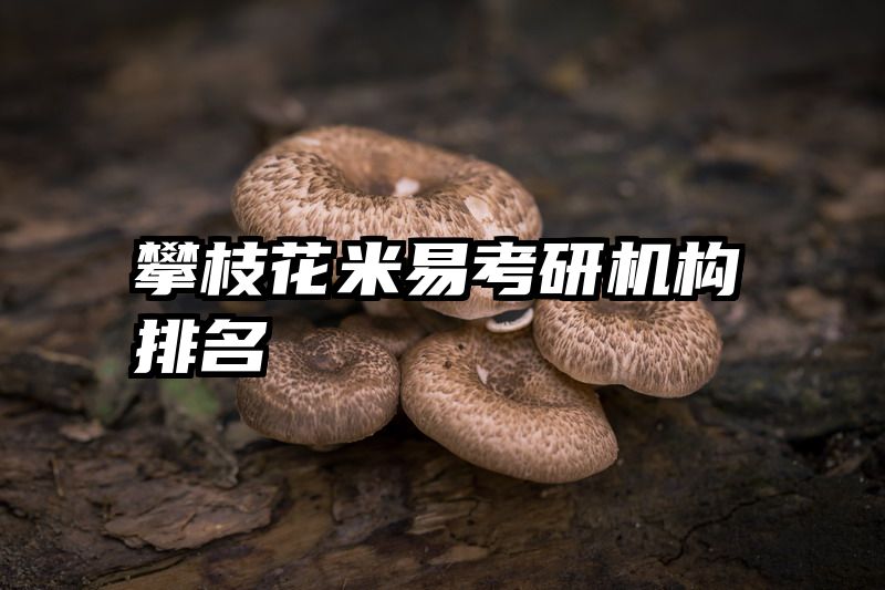 攀枝花米易考研机构排名