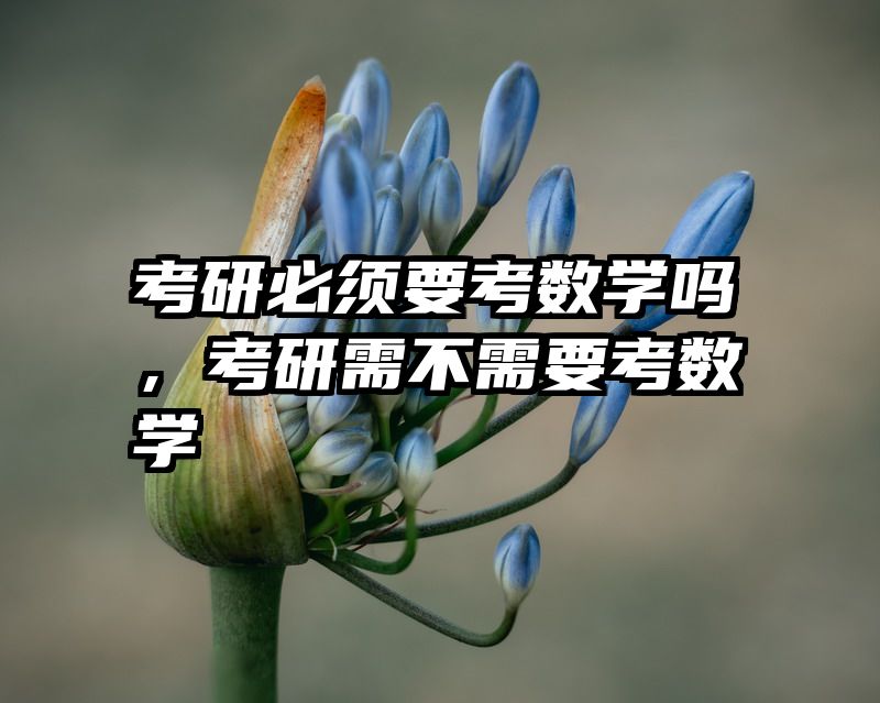 考研必须要考数学吗，考研需不需要考数学