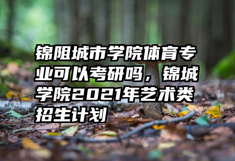 锦阻城市学院体育专业可以考研吗，锦城学院2021年艺术类招生计划