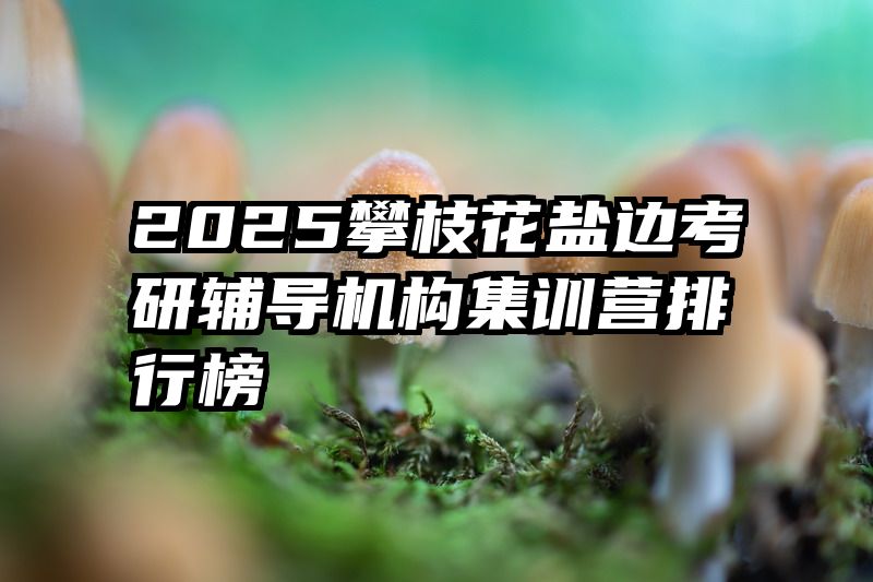2025攀枝花盐边考研辅导机构集训营排行榜