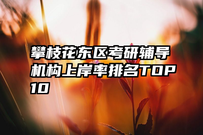 攀枝花东区考研辅导机构上岸率排名TOP10