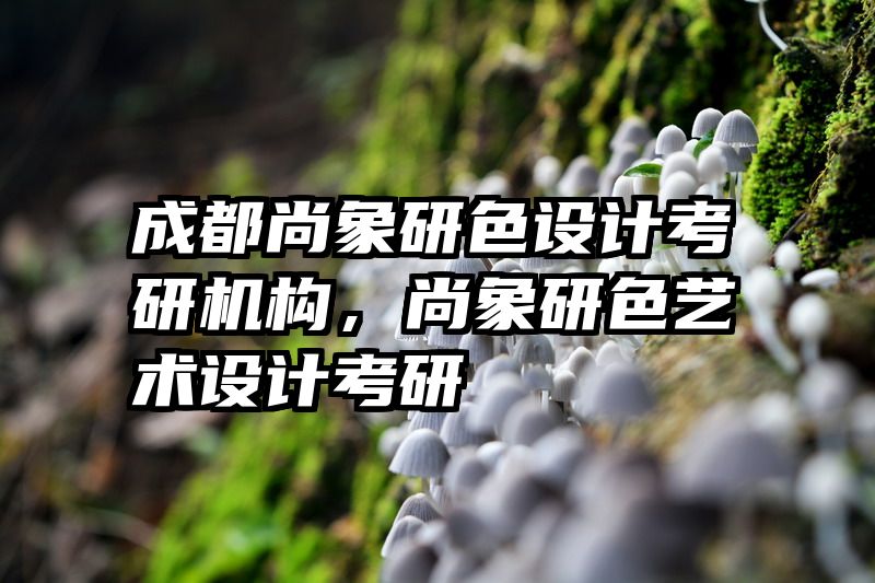 成都尚象研色设计考研机构，尚象研色艺术设计考研