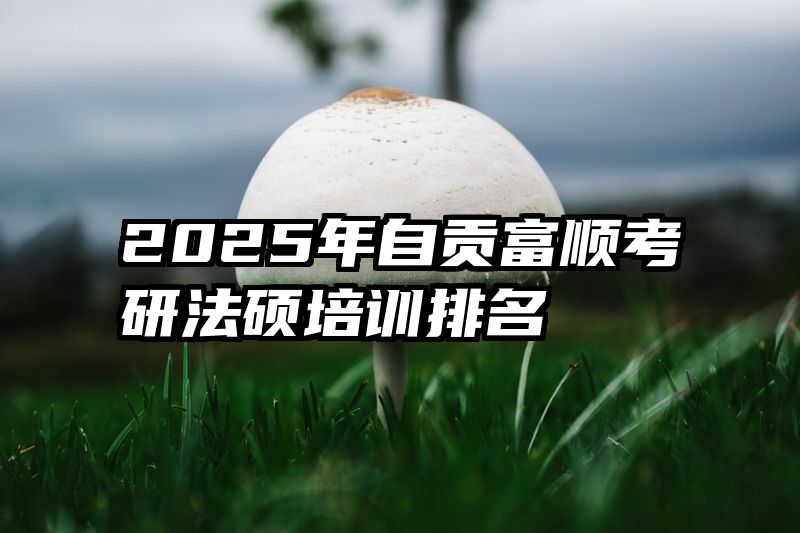 2025年自贡富顺考研法硕培训排名