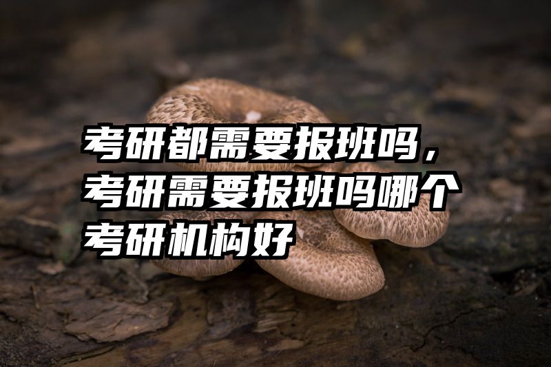 考研都需要报班吗，考研需要报班吗哪个考研机构好