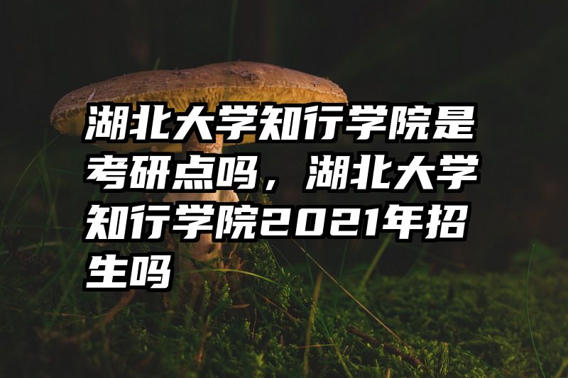 湖北大学知行学院是考研点吗，湖北大学知行学院2021年招生吗