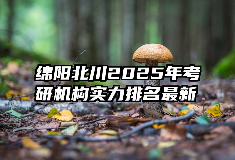 绵阳北川2025年考研机构实力排名最新