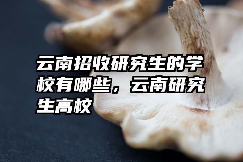 云南招收研究生的学校有哪些，云南研究生高校