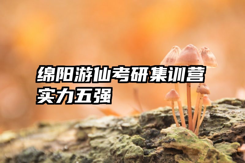 绵阳游仙考研集训营实力五强