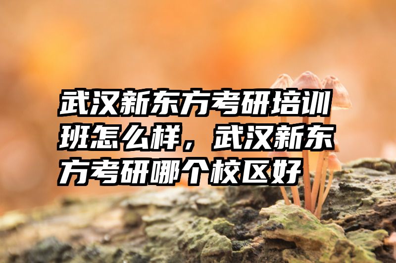武汉新东方考研培训班怎么样，武汉新东方考研哪个校区好