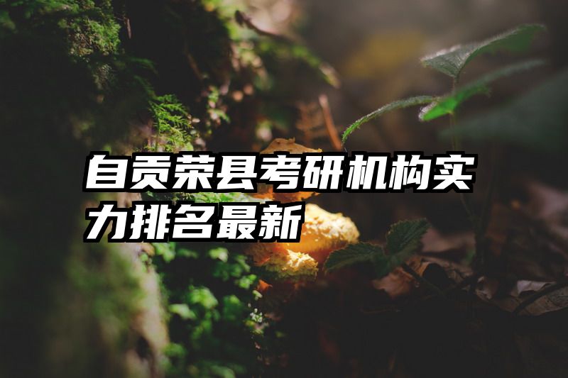 自贡荣县考研机构实力排名最新