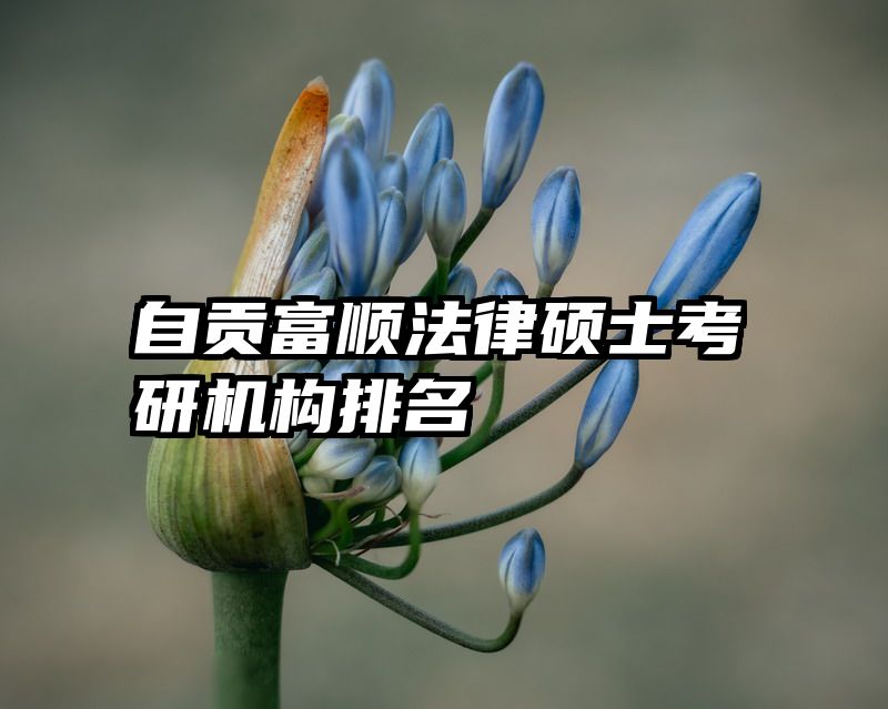 自贡富顺法律硕士考研机构排名