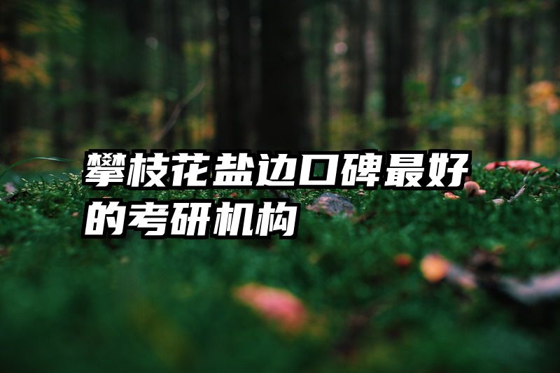 攀枝花盐边口碑最好的考研机构
