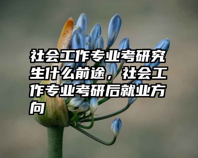 社会工作专业考研究生什么前途，社会工作专业考研后就业方向