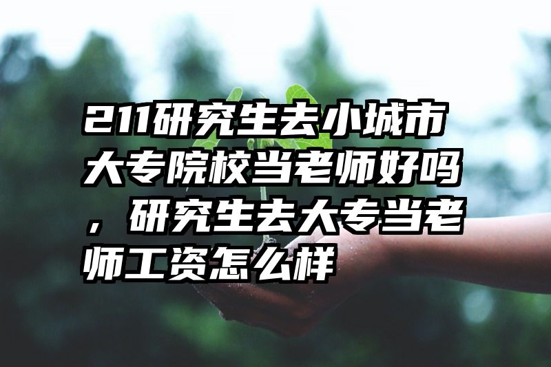 211研究生去小城市大专院校当老师好吗，研究生去大专当老师工资怎么样