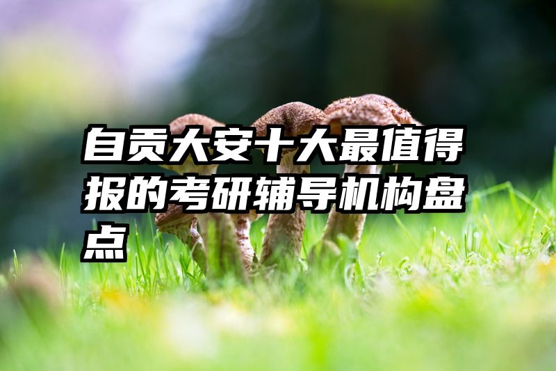 自贡大安十大最值得报的考研辅导机构盘点