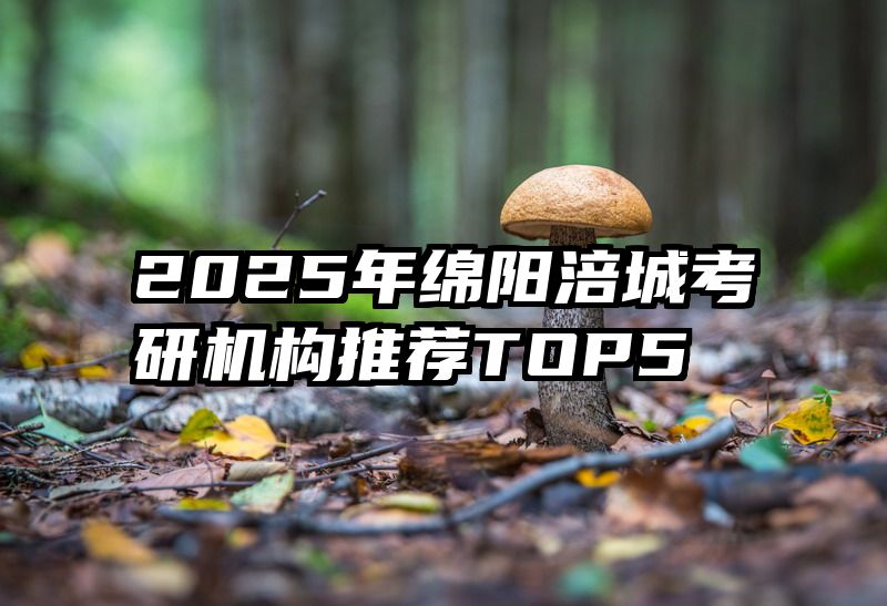 2025年绵阳涪城考研机构推荐TOP5