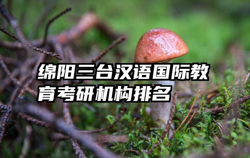 绵阳三台汉语国际教育考研机构排名