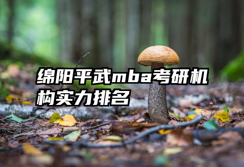 绵阳平武mba考研机构实力排名