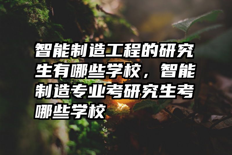 智能制造工程的研究生有哪些学校，智能制造专业考研究生考哪些学校