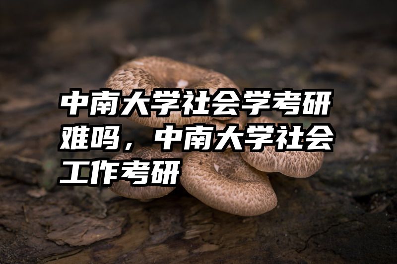 中南大学社会学考研难吗，中南大学社会工作考研