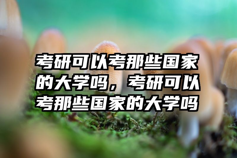 考研可以考那些国家的大学吗，考研可以考那些国家的大学吗