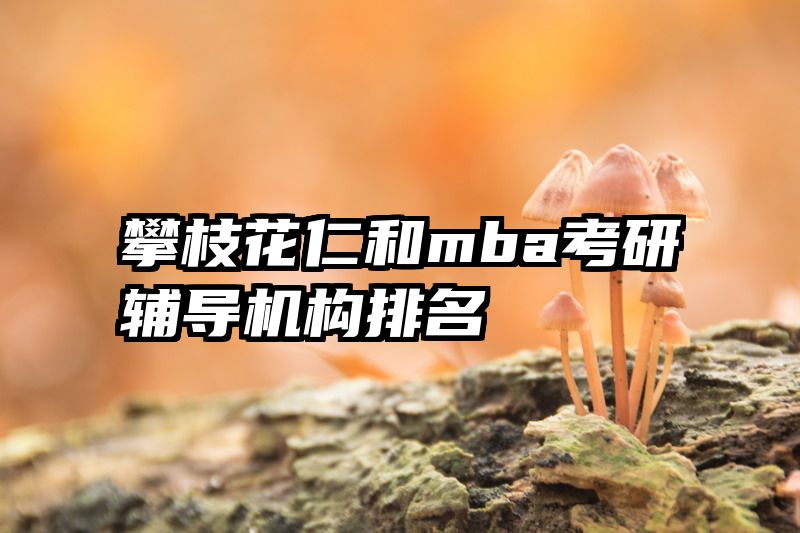 攀枝花仁和mba考研辅导机构排名