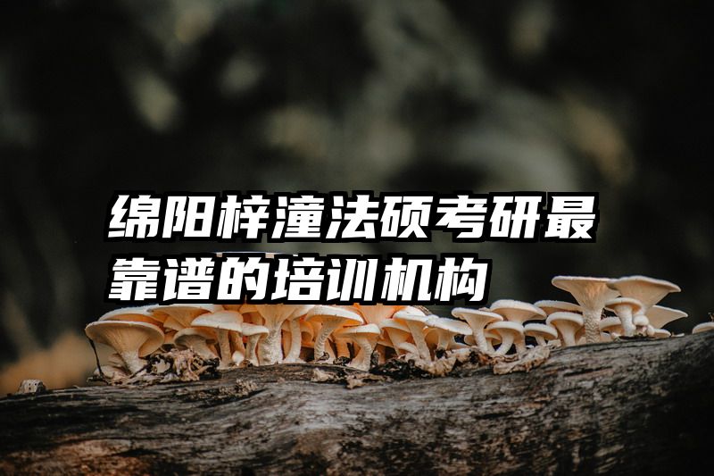 绵阳梓潼法硕考研最靠谱的培训机构