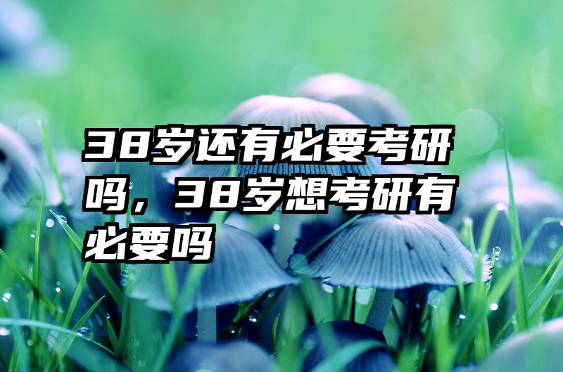 38岁还有必要考研吗，38岁想考研有必要吗