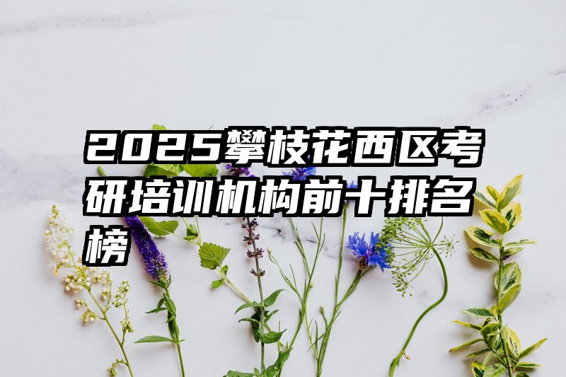 2025攀枝花西区考研培训机构前十排名榜