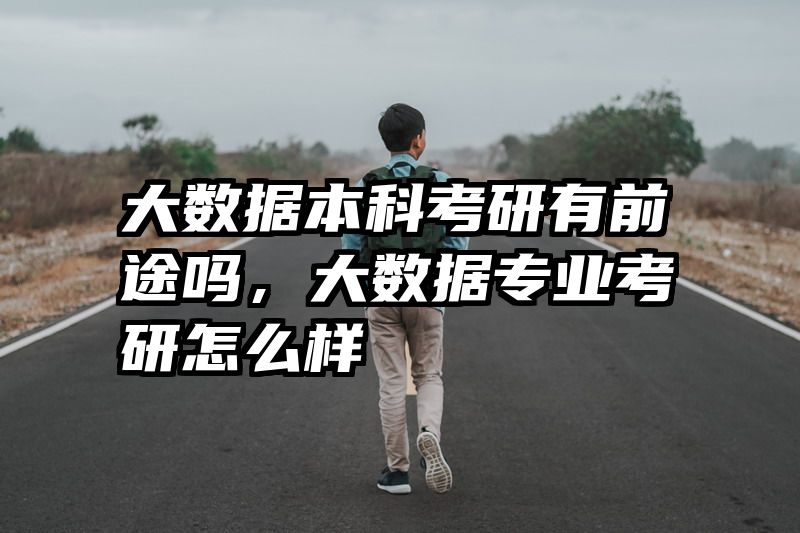大数据本科考研有前途吗，大数据专业考研怎么样