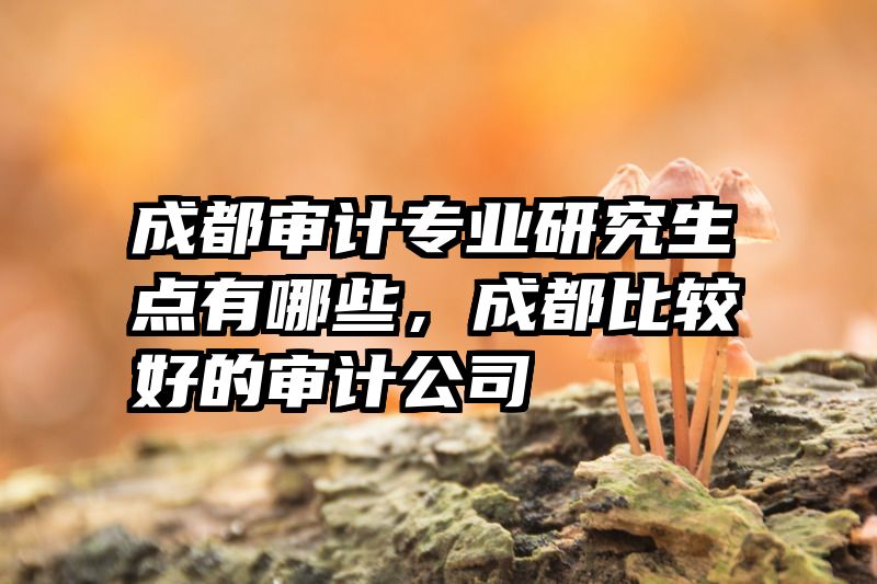 成都审计专业研究生点有哪些，成都比较好的审计公司