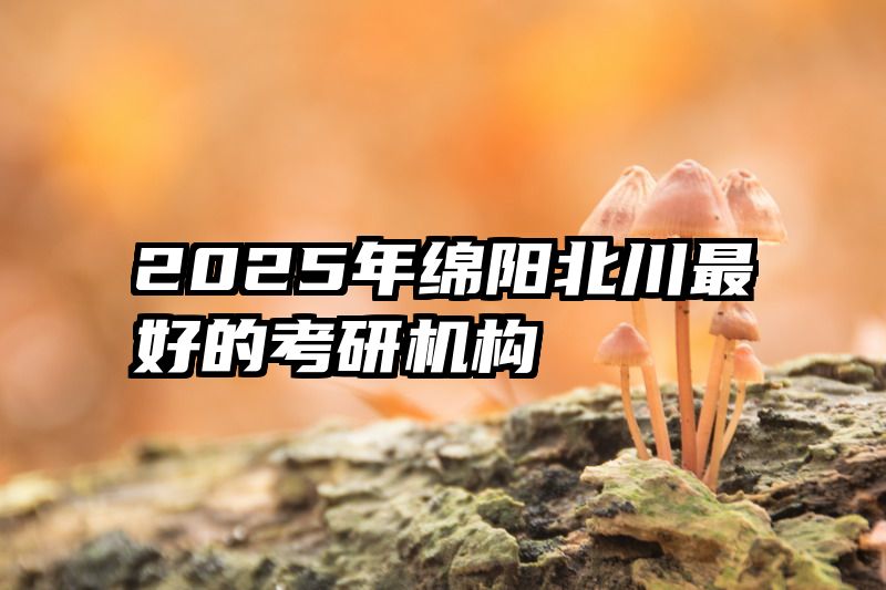 2025年绵阳北川最好的考研机构