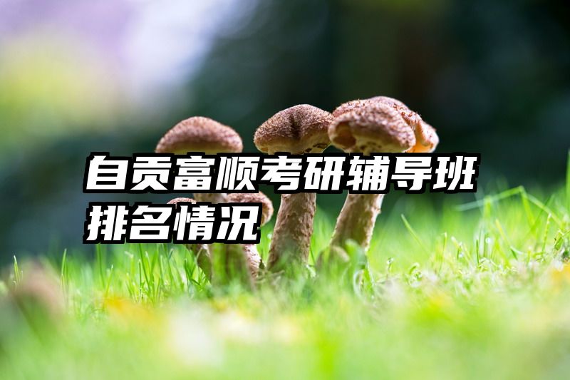 自贡富顺考研辅导班排名情况