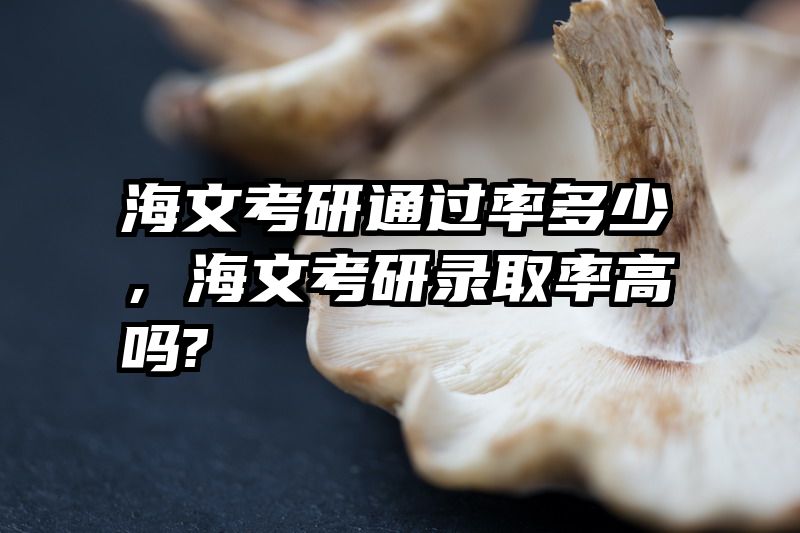 海文考研通过率多少，海文考研录取率高吗?