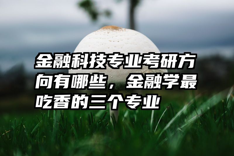 金融科技专业考研方向有哪些,金融学最吃香的三个专业