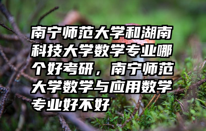 南宁师范大学和湖南科技大学数学专业哪个好考研，南宁师范大学数学与应用数学专业好不好