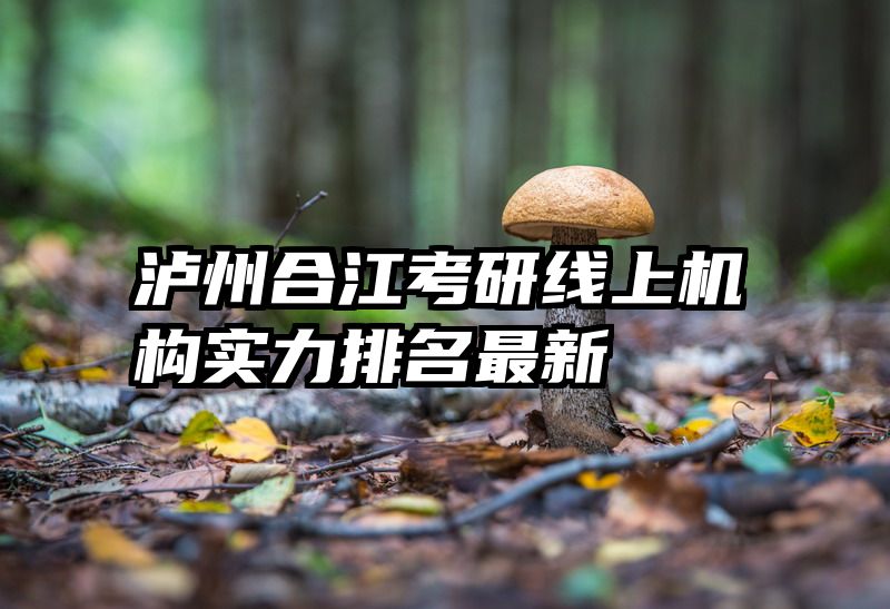 泸州合江考研线上机构实力排名最新