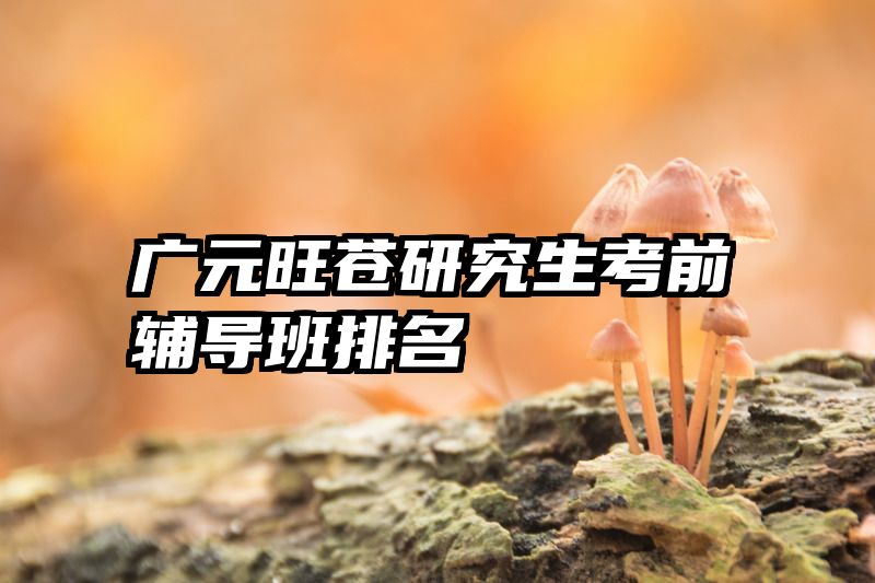 广元旺苍研究生考前辅导班排名