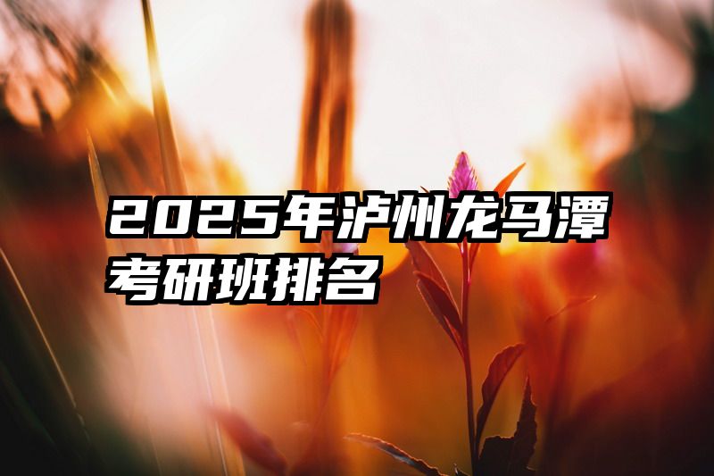 2025年泸州龙马潭考研班排名