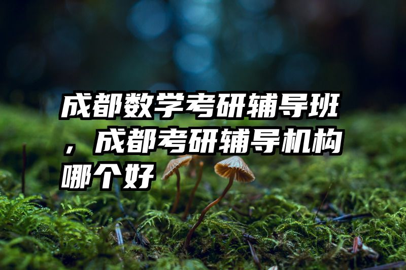 成都数学考研辅导班,成都考研辅导机构哪个好