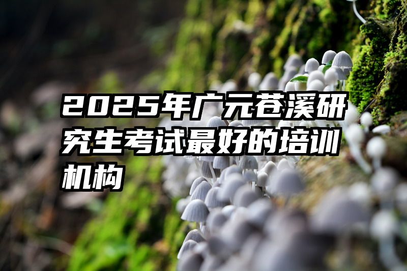2025年广元苍溪研究生考试最好的培训机构