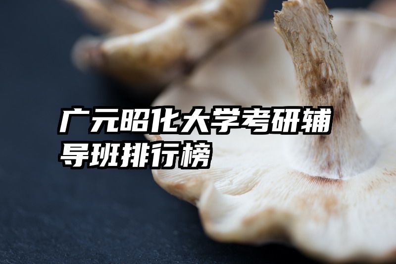 广元昭化大学考研辅导班排行榜